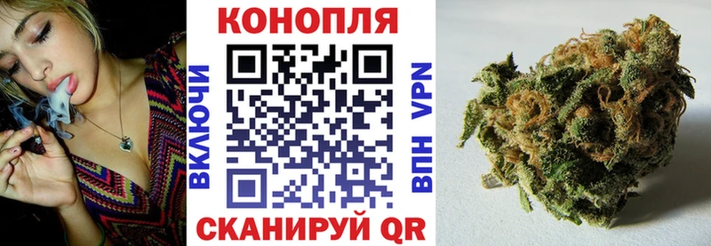 Бошки Шишки гибрид  Суоярви 